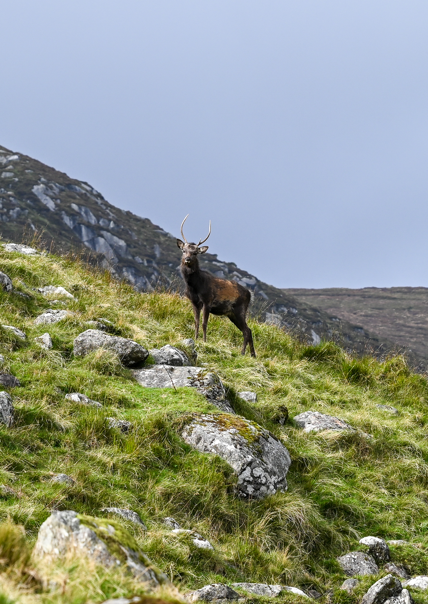 Glendalough Valley